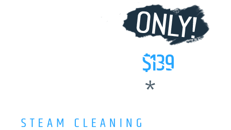 $109 Only 4 Rooms Steam Cleaning